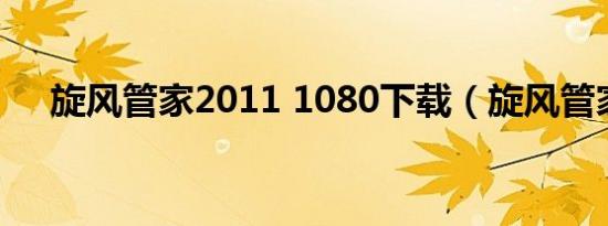 旋风管家2011 1080下载（旋风管家2）