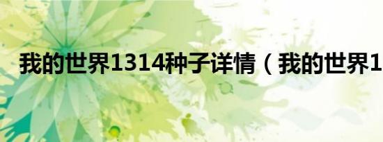 我的世界1314种子详情（我的世界1 3 1）