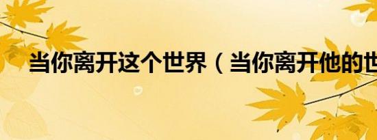 当你离开这个世界（当你离开他的世界）