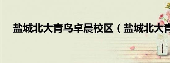 盐城北大青鸟卓晨校区（盐城北大青鸟）