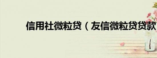 信用社微粒贷（友信微粒贷贷款）