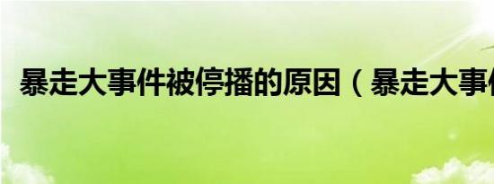 暴走大事件被停播的原因（暴走大事件13）
