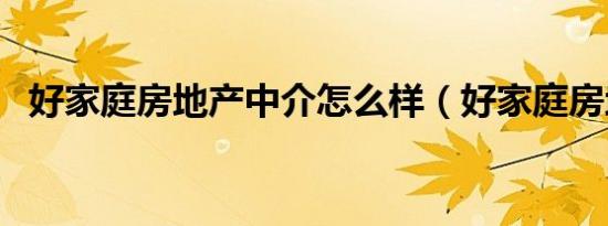 好家庭房地产中介怎么样（好家庭房地产）