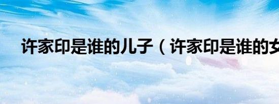 许家印是谁的儿子（许家印是谁的女婿）