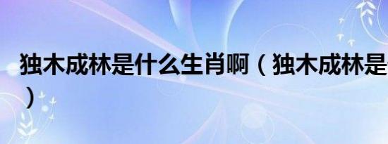 独木成林是什么生肖啊（独木成林是什么生肖）
