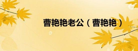 曹艳艳老公（曹艳艳）