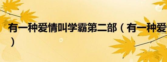 有一种爱情叫学霸第二部（有一种爱情叫学霸）