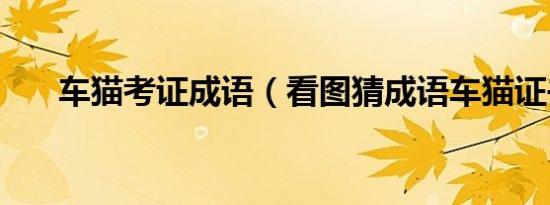 车猫考证成语（看图猜成语车猫证书）