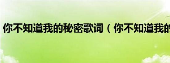 你不知道我的秘密歌词（你不知道我的秘密）