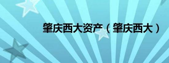 肇庆西大资产（肇庆西大）
