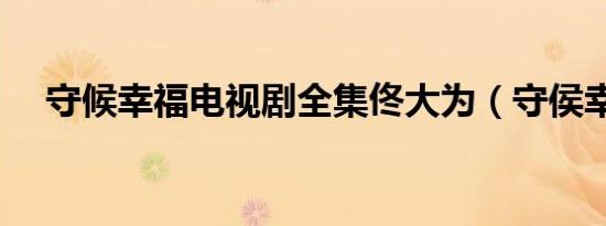 守候幸福电视剧全集佟大为（守侯幸福）