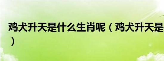 鸡犬升天是什么生肖呢（鸡犬升天是什么生肖）