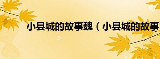 小县城的故事魏（小县城的故事）