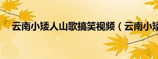 云南小矮人山歌搞笑视频（云南小矮人）