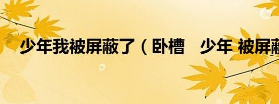 少年我被屏蔽了（卧槽   少年 被屏蔽了）