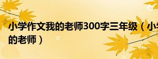 小学作文我的老师300字三年级（小学作文我的老师）