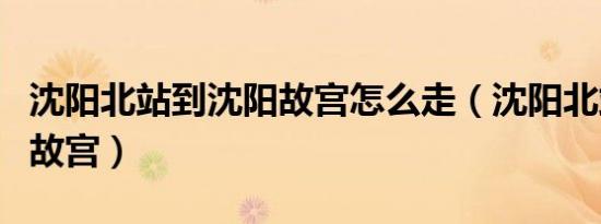 沈阳北站到沈阳故宫怎么走（沈阳北站到沈阳故宫）