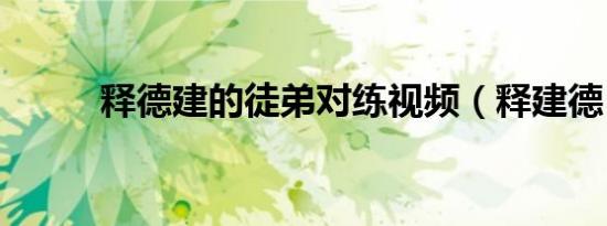 释德建的徒弟对练视频（释建德）