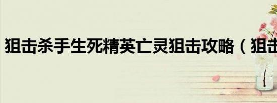 狙击杀手生死精英亡灵狙击攻略（狙击杀手）