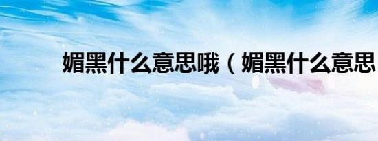 媚黑什么意思哦（媚黑什么意思）