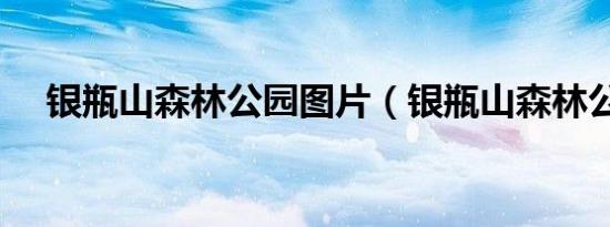 银瓶山森林公园图片（银瓶山森林公园）