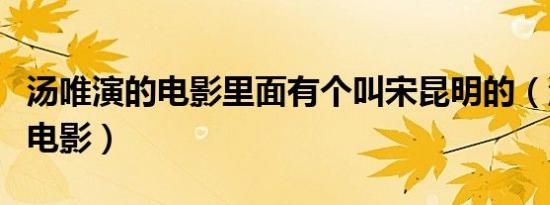 汤唯演的电影里面有个叫宋昆明的（汤唯演的电影）