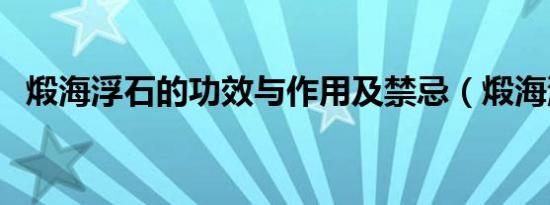 煅海浮石的功效与作用及禁忌（煅海浮石）