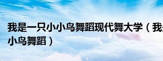 我是一只小小鸟舞蹈现代舞大学（我是一只小小鸟舞蹈）