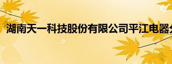 湖南天一科技股份有限公司平江电器分公司