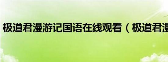 极道君漫游记国语在线观看（极道君漫游记）