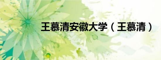 王慕清安徽大学（王慕清）