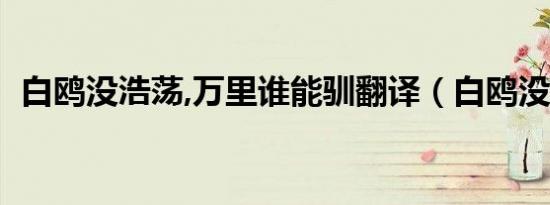 白鸥没浩荡,万里谁能驯翻译（白鸥没浩荡）