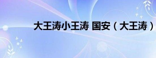 大王涛小王涛 国安（大王涛）