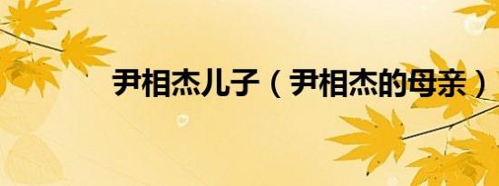 尹相杰儿子（尹相杰的母亲）