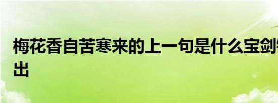 梅花香自苦寒来的上一句是什么宝剑锋从磨砺出