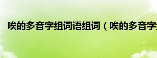 唉的多音字组词语组词（唉的多音字组词）
