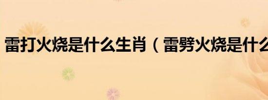 雷打火烧是什么生肖（雷劈火烧是什么生肖）