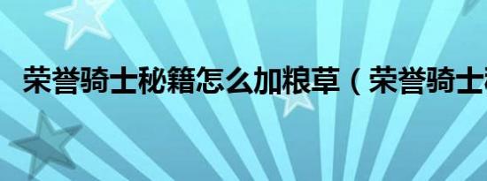 荣誉骑士秘籍怎么加粮草（荣誉骑士秘籍）