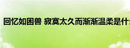 回忆如困兽 寂寞太久而渐渐温柔是什么意思