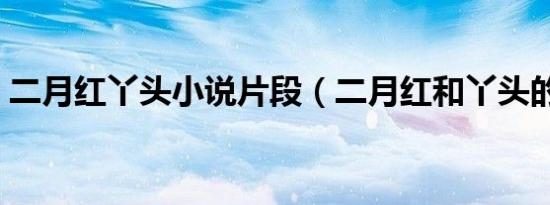 二月红丫头小说片段（二月红和丫头的故事）