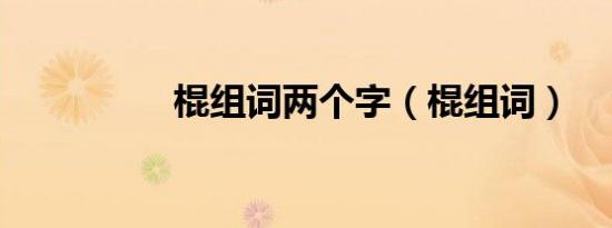 棍组词两个字（棍组词）