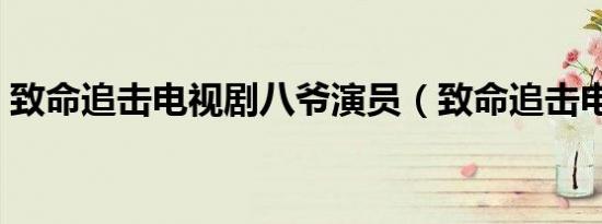 致命追击电视剧八爷演员（致命追击电视剧）