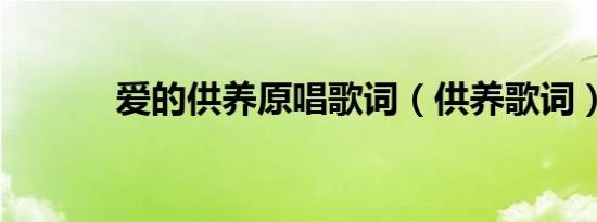 爱的供养原唱歌词（供养歌词）