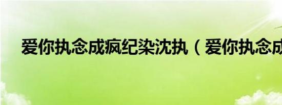 爱你执念成疯纪染沈执（爱你执念成疯）