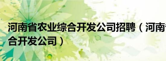 河南省农业综合开发公司招聘（河南省农业综合开发公司）