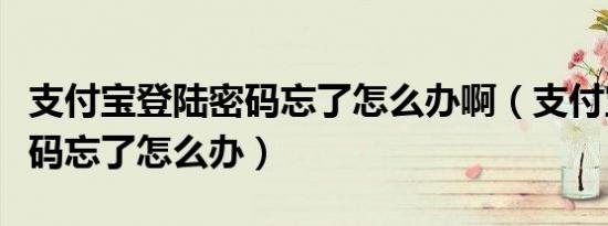 支付宝登陆密码忘了怎么办啊（支付宝登陆密码忘了怎么办）