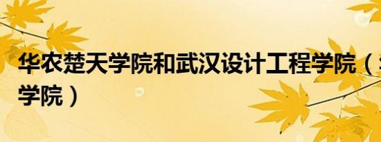 华农楚天学院和武汉设计工程学院（华农楚天学院）