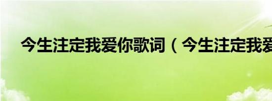 今生注定我爱你歌词（今生注定我爱你）