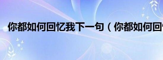 你都如何回忆我下一句（你都如何回忆我）