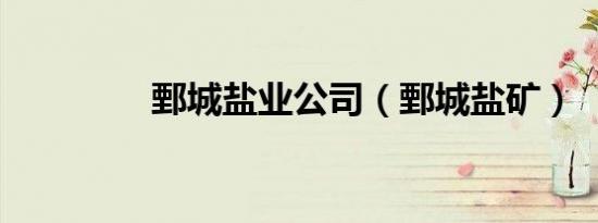 鄄城盐业公司（鄄城盐矿）